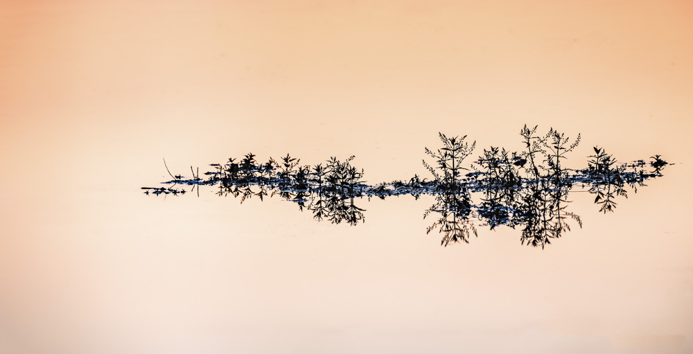 Platz 1 Conny Kleiner